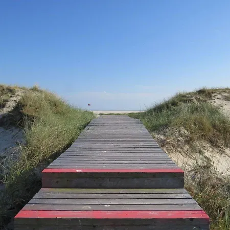 Duenem-biike-eg-li Nebel