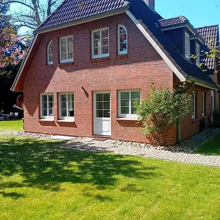 Duenem-biike-eg-li *