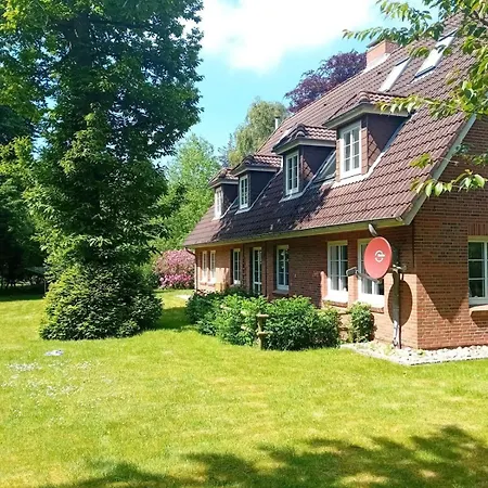 Duenem-biike-eg-li *