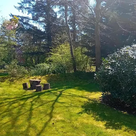 Duenem-biike-eg-li *