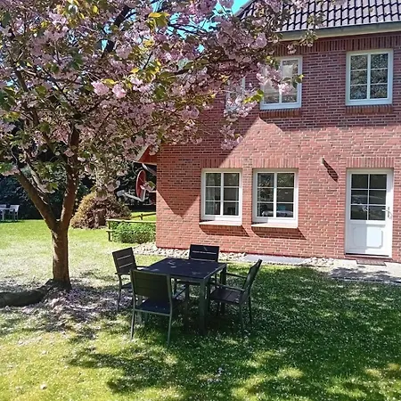 Duenem-biike-eg-li Nebel