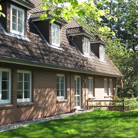 Duenem-biike-eg-li Nebel